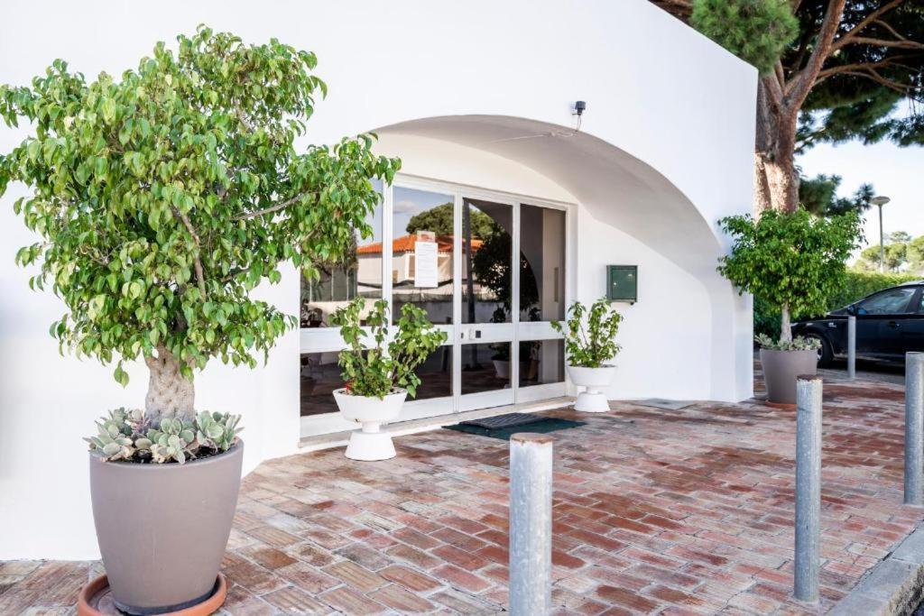 Vieira Apartment 1 Куартейра Екстериор снимка